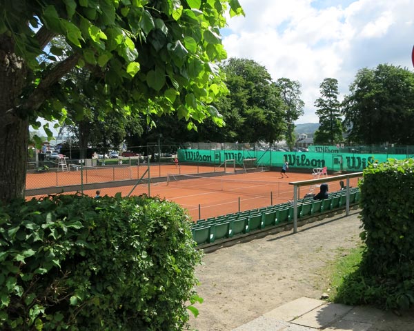 En padelplan med grönska